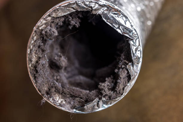Best Air Duct Sanitizing Services  in North Haledon, NJ